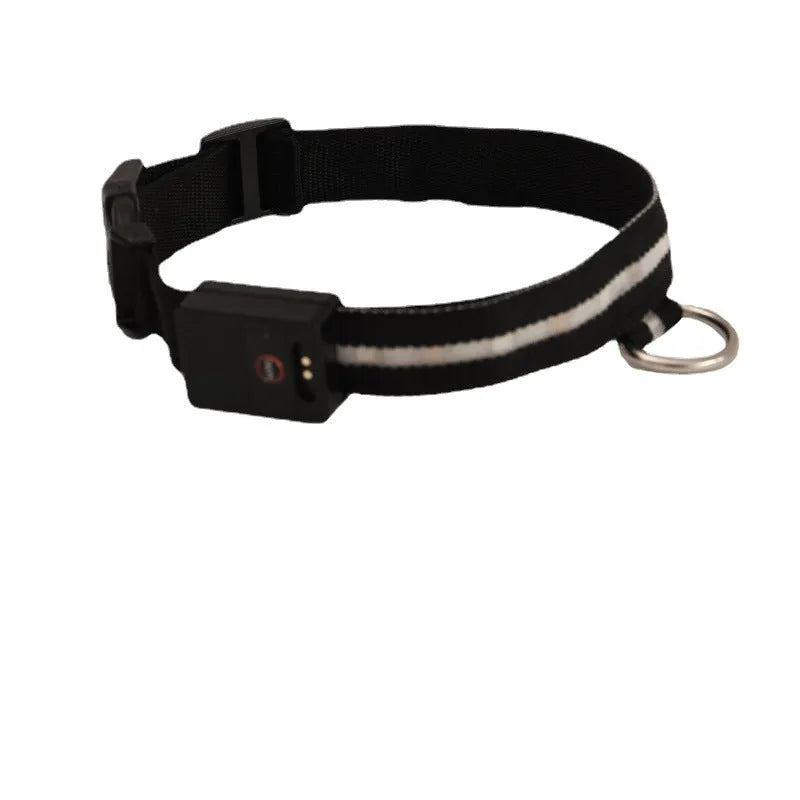 Black polyester LED luminous dog collar and 2.5cm x 120cm hand rope set in sizes S, M and L