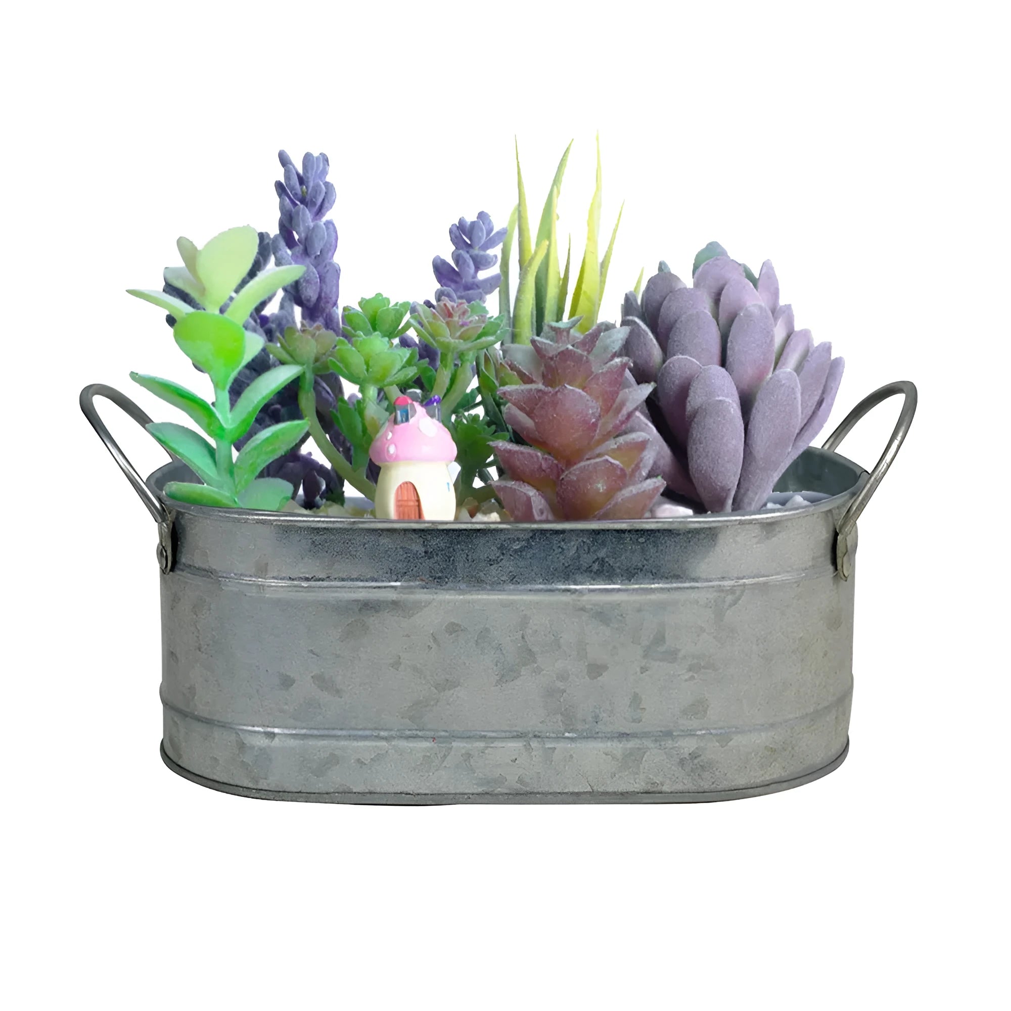 Iron desktop flower pot for succulents on a wooden table