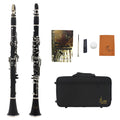 Black Bakelite beginner clarinet with 17 nickel keys and a carry bag.