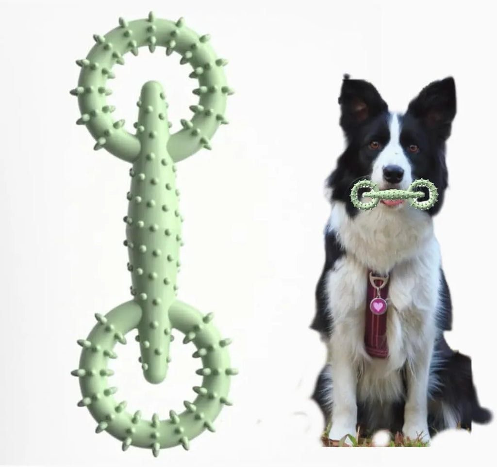 Blue TPR dog chew toy ring for teething puppies measuring 16cm