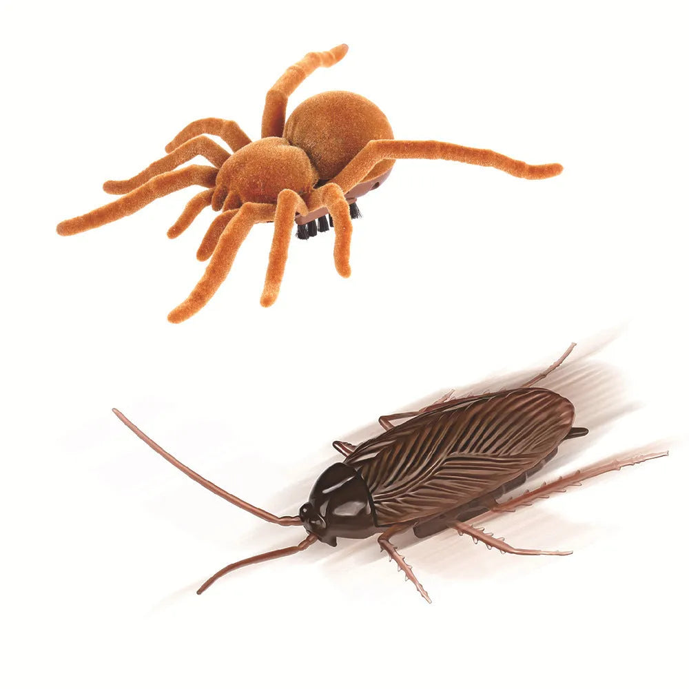 Electric vibration pet toy in cockroach, dragonfly, tarantula, or mouse design showing brush walking simulation