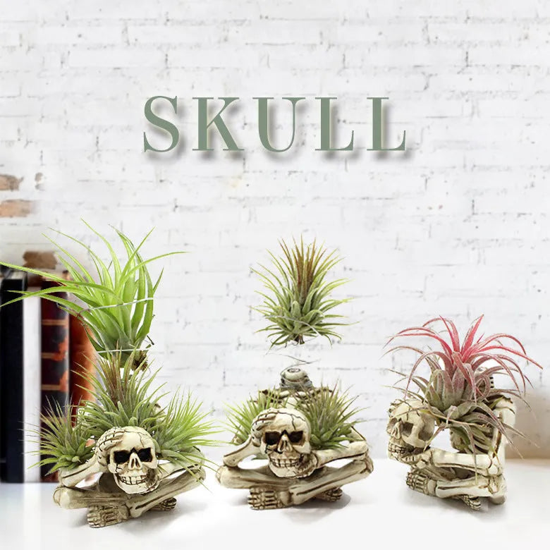 Gothic skull resin tillandsia bracket with iron stand for soilless air plant display