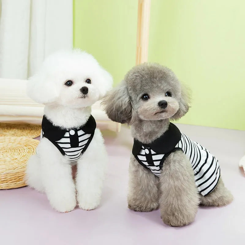 Pet dog wearing cotton summer stripes t-shirt and skirt set