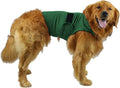 Dog wearing brocade cotton anxiety relief tank top in heather gray colour