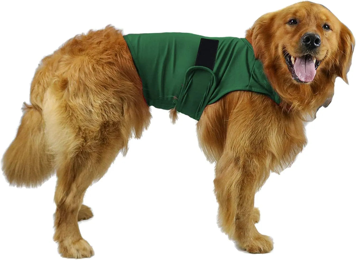 Dog wearing brocade cotton anxiety relief tank top in heather gray colour
