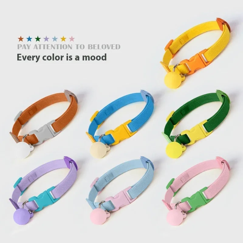 Small dog elastic collar in seven colour options showing yellow, pink, blue, purple, brown, navy and green versions