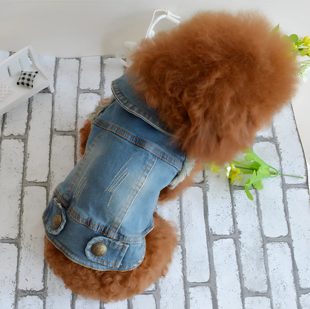 Denim dog vest with retro scratch pattern for autumn and winter pet clothing