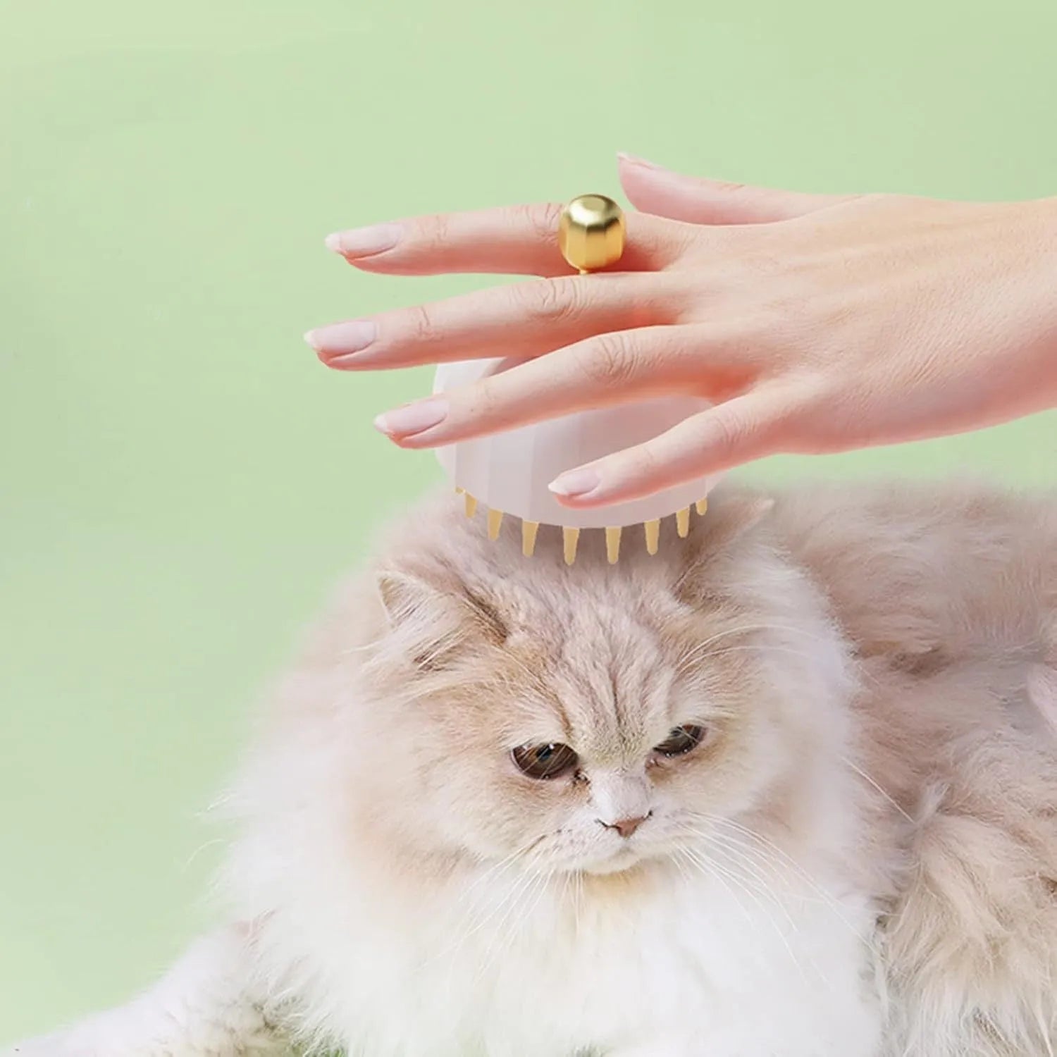 Green pink white pet bath massage brush with drainage holes for dogs and cats grooming