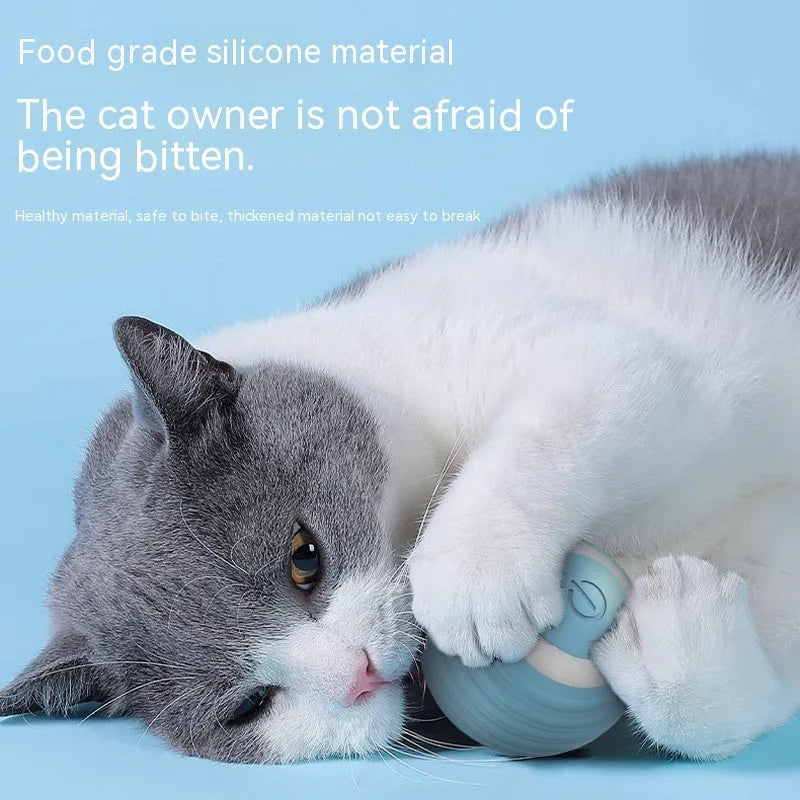 Blue automatic moving cat toy ball with self-bouncing technology on indoor floor