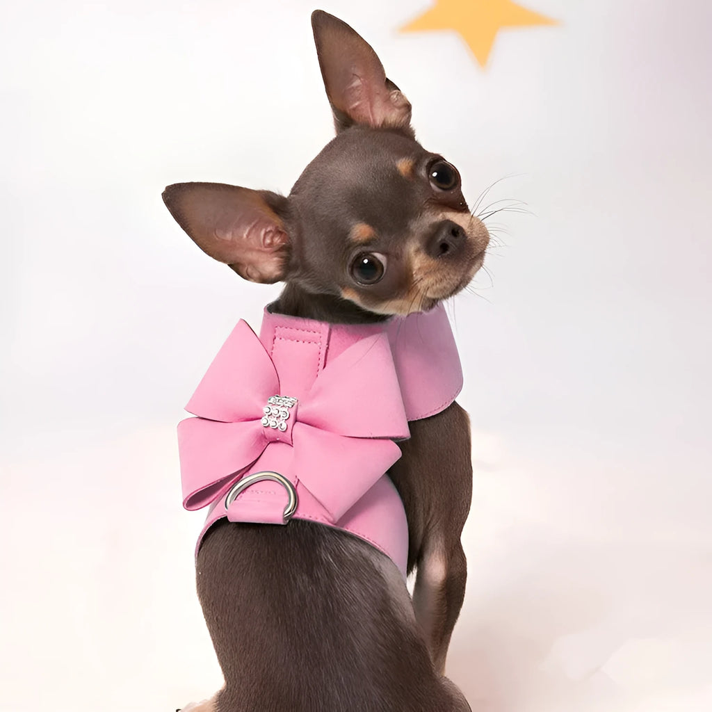 Cute bowknot puppy chest strap harness in microfiber with pink, blue, and orange colour options