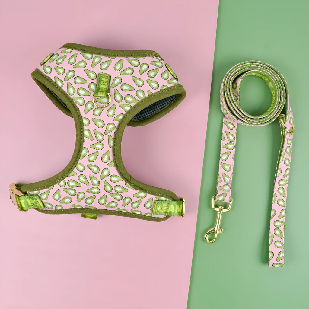 Colourful adjustable polyester haulage rope and harness set for medium or large dogs on a white background.