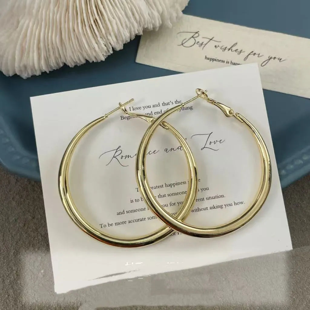 Silver plated geometric circle earrings with 925 silver needle, 5cm diameter
