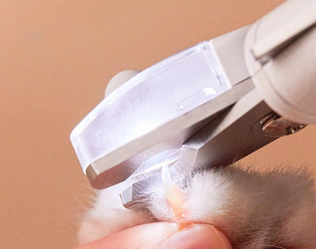 White pet nail clippers with LED light, transparent guard, and a nail file on a table