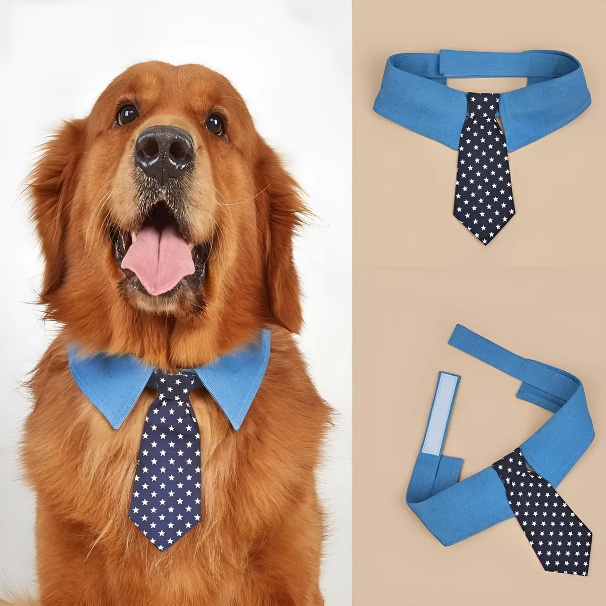 Denim dog collar with star pattern in bow and tie styles showing adjustable fastener tape