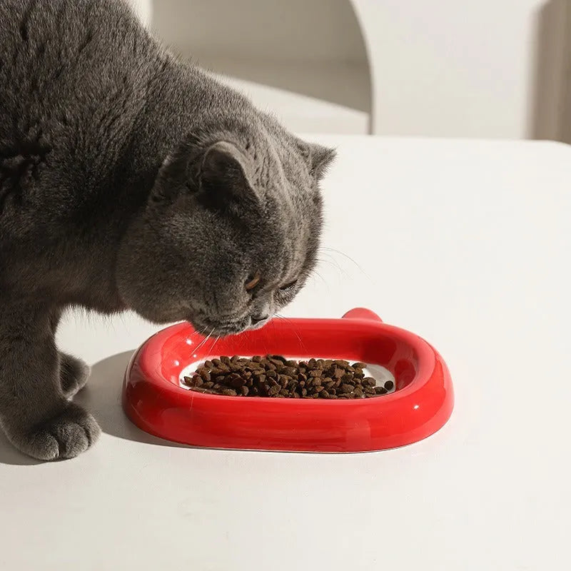 White ceramic pet bowl with raised sides featuring a colourful cai wealth character design for cat or dog food and water
