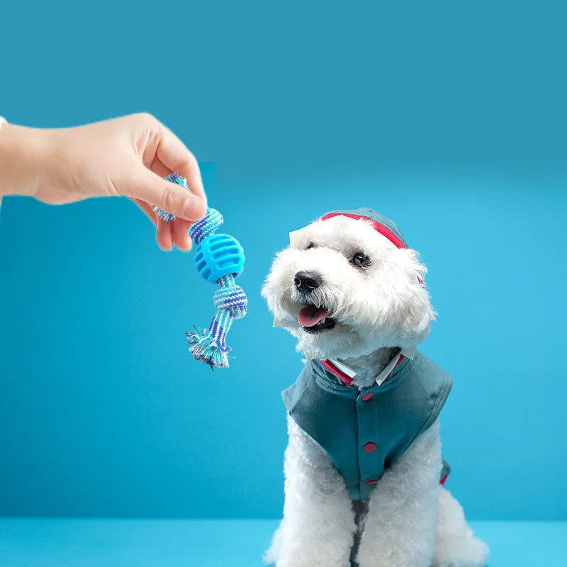 Dog bite-resistant teeth cleaning toy with double knot cotton cord and TPR ball in blue, orange, pink, red colours