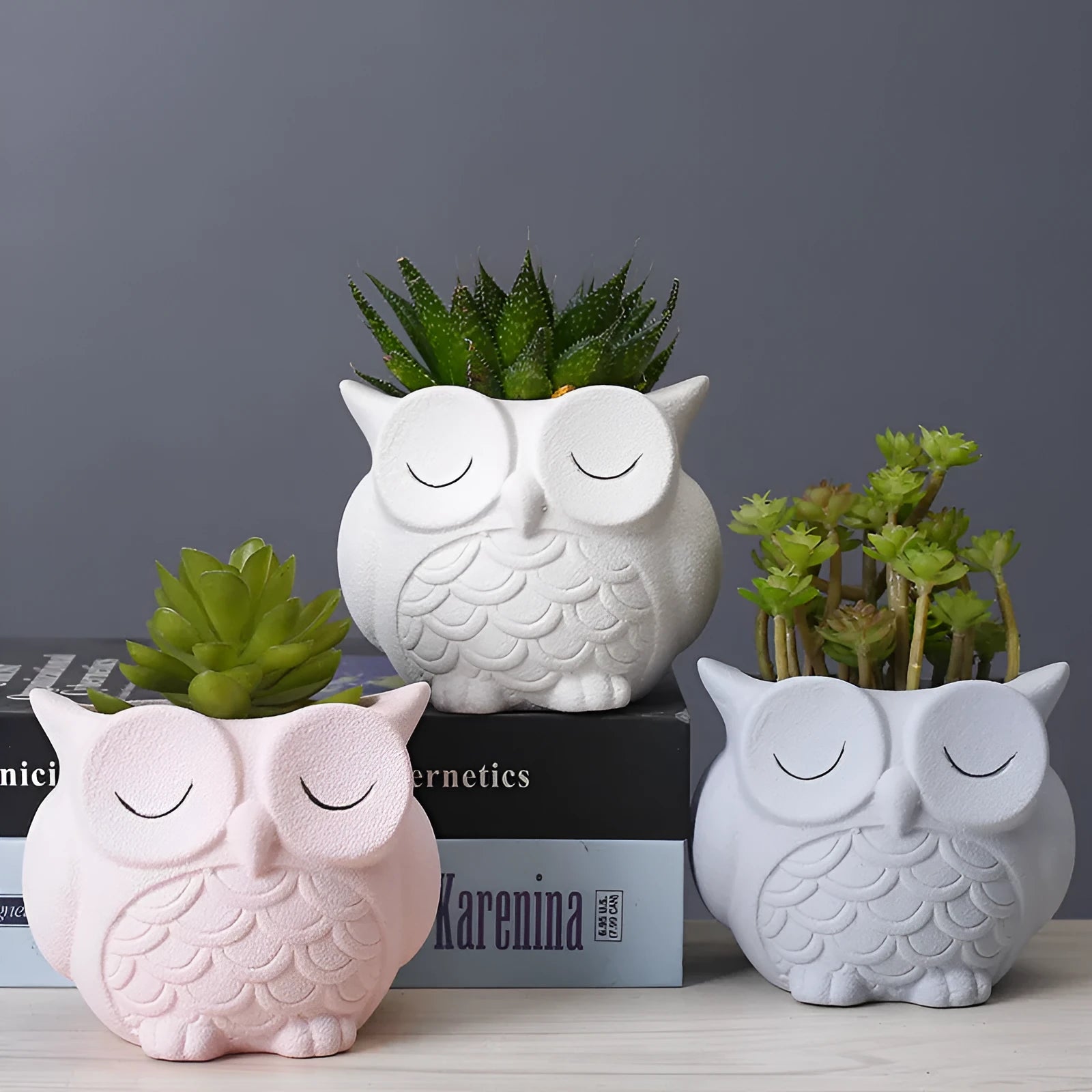 Handmade frosted ceramic owl design flower pot for small succulents in light pink colour