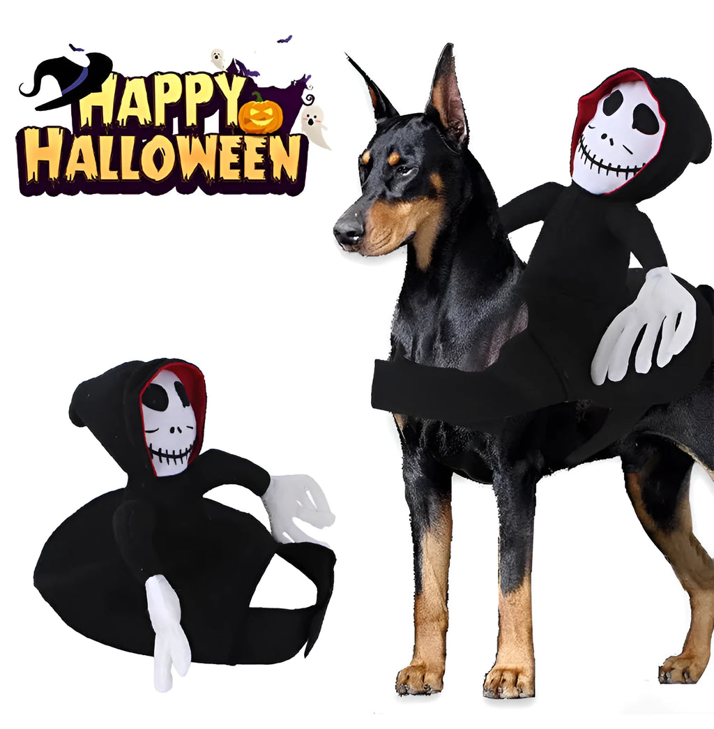 Goblin riding pet Halloween costume made from felt cloth with velcro straps in green colour on a cat or small dog.