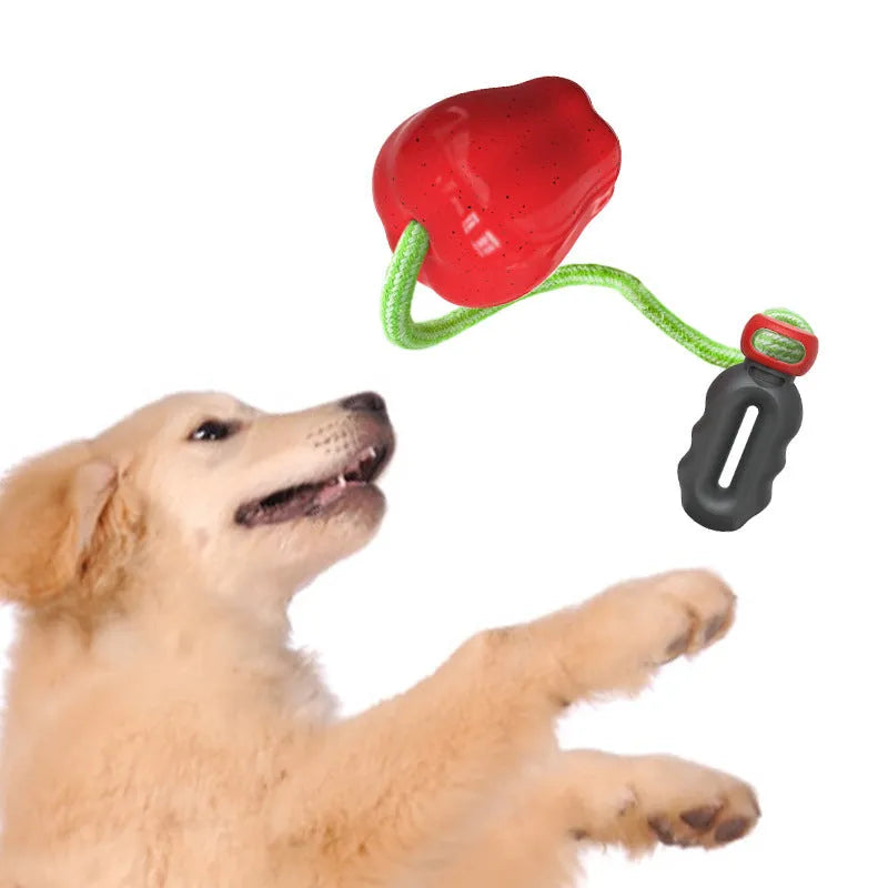 Green and red plastic apple-shaped dog toy with hollow centre for treat dispensing