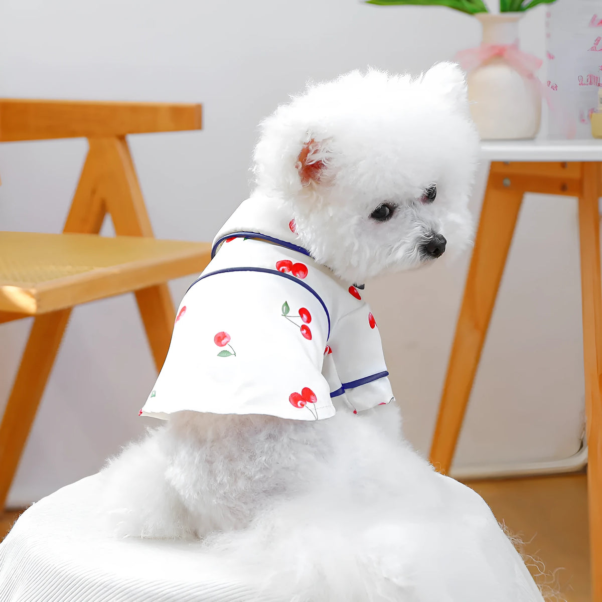 Pet pyjamas in cherry print, polyester small dog and puppy clothing in navy blue or white, sizes XS to 2L