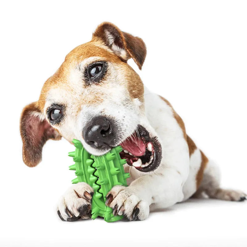 Green cactus-shaped dog chew toy with textured bumps for dental cleaning on a white background.