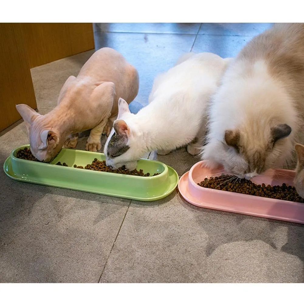 Green partitioned pet feeder bowl with four sections for dog or cat dry food.