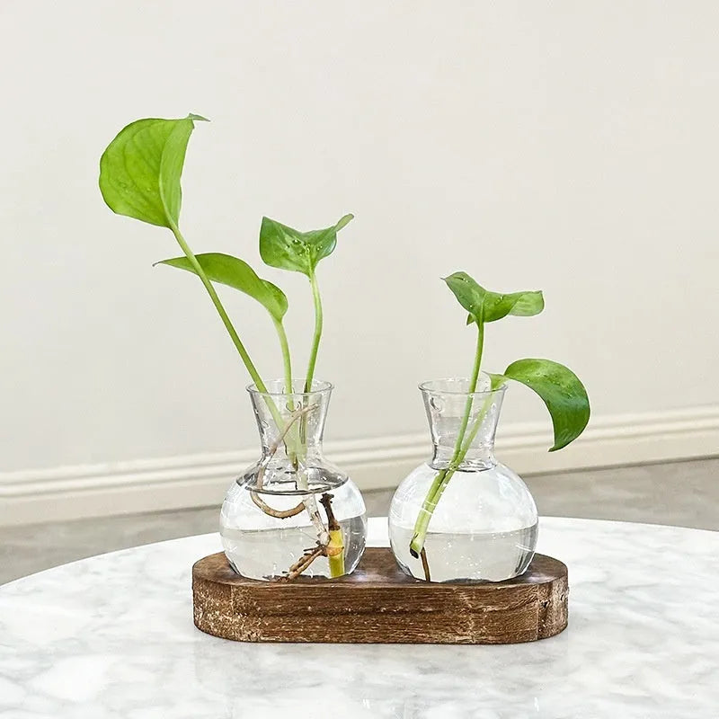 Transparent hydroponic vase on wooden frame in modern design
