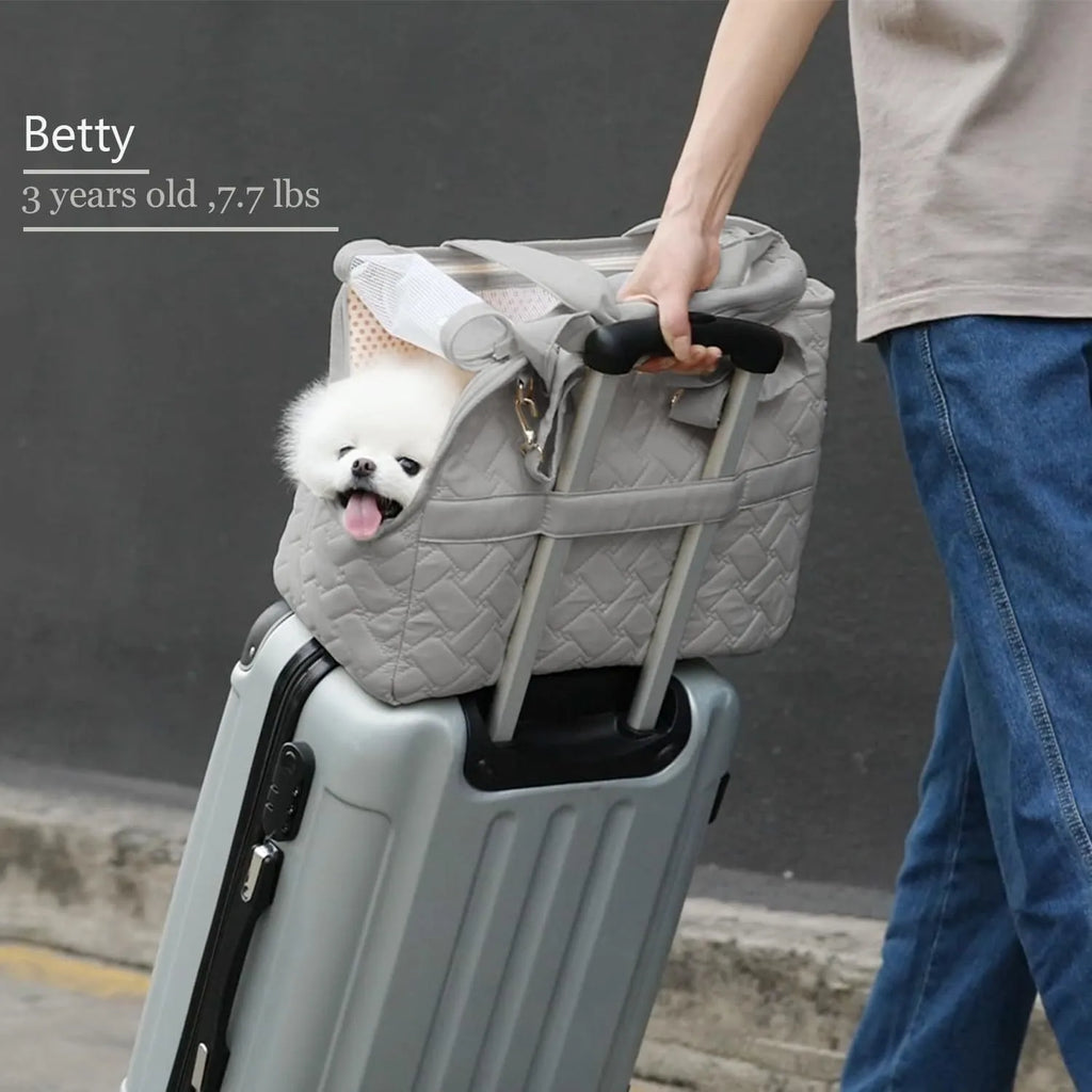 Grey pet carrier handbag with mesh panels and multiple pockets for cats and small dogs