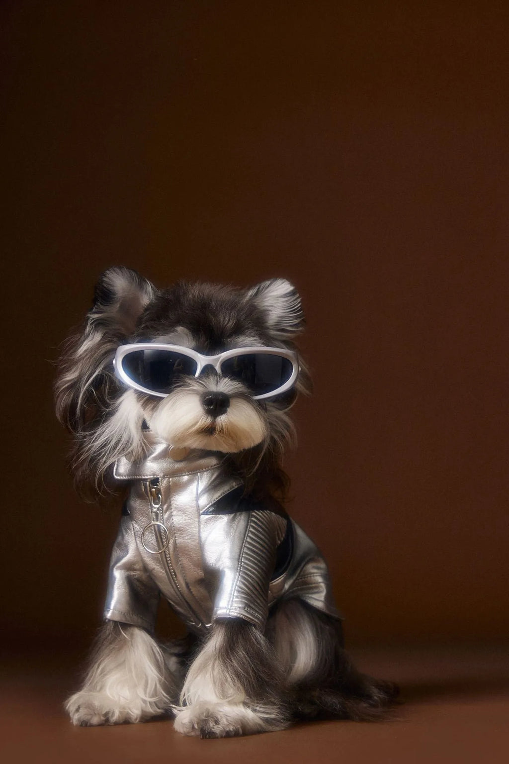 Distressed silver PU and viscose pet coat for small to medium dogs, available in sizes XS to XXL