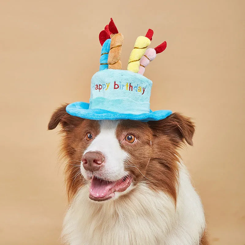 Blue or pink dog birthday hat with elastic chin strap measuring 21x15x6.5cm