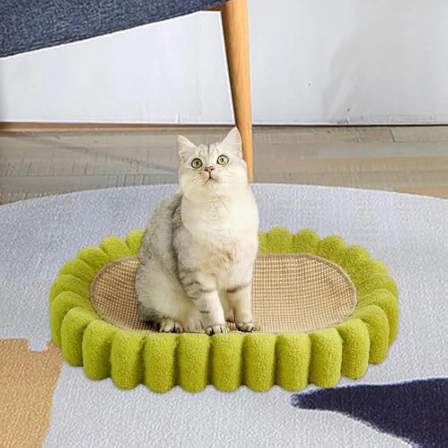 Green oval sisal cat scratch pad bowl serving as a cat bed and furniture protector.