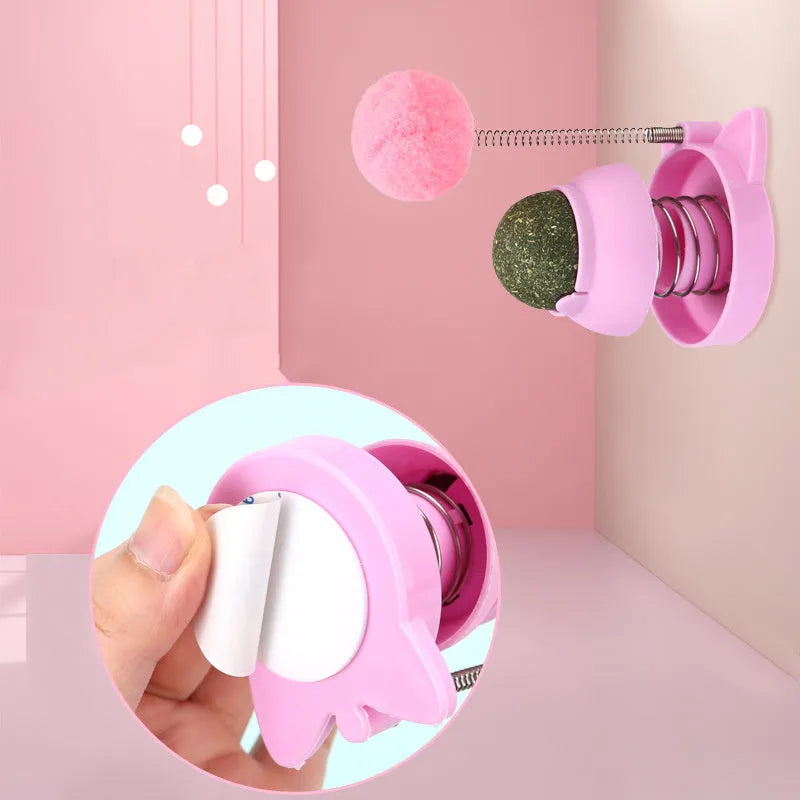 Four colourful mint ball cat toys with textured surfaces for teeth cleaning and self-hi play