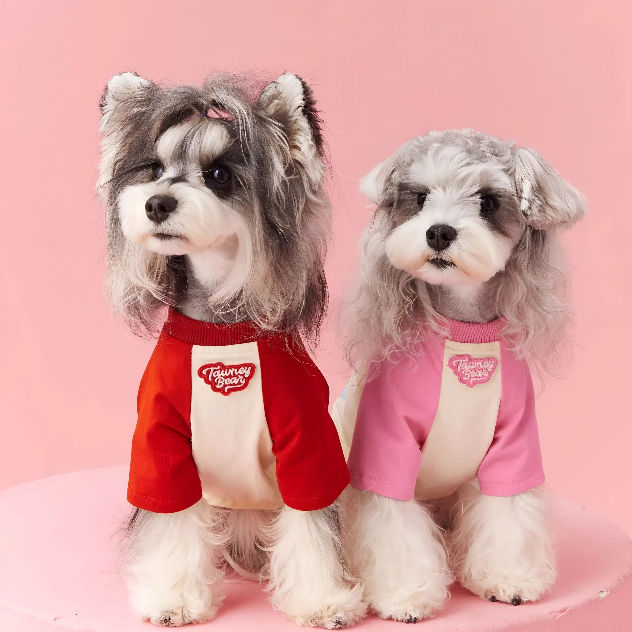 Cotton summer dog clothes in embroidered red or pink with contrast colour design