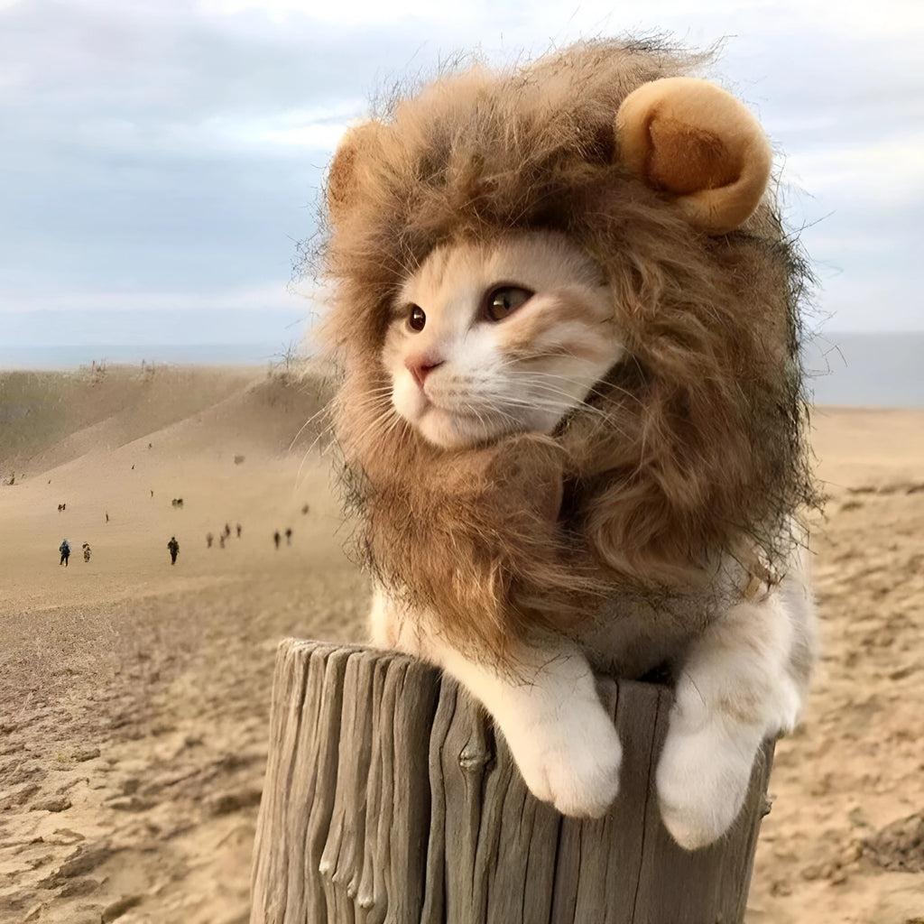 Lion mane wig for cats on a pet, showing fluffy artificial hair and plush ears with an adjustable band.