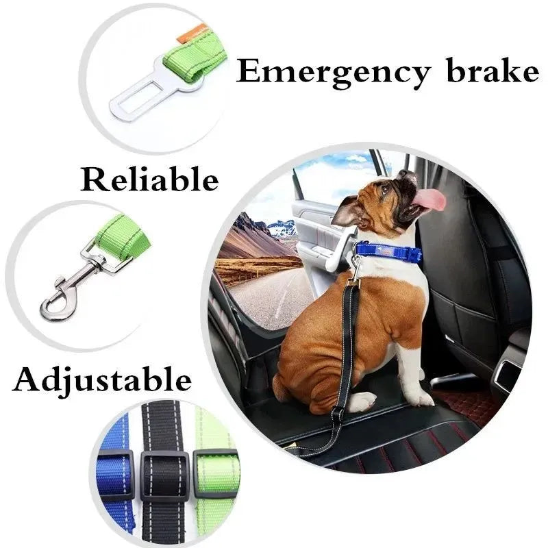 Black dog car seat belt with metal clip and adjustable polyester webbing on car seat
