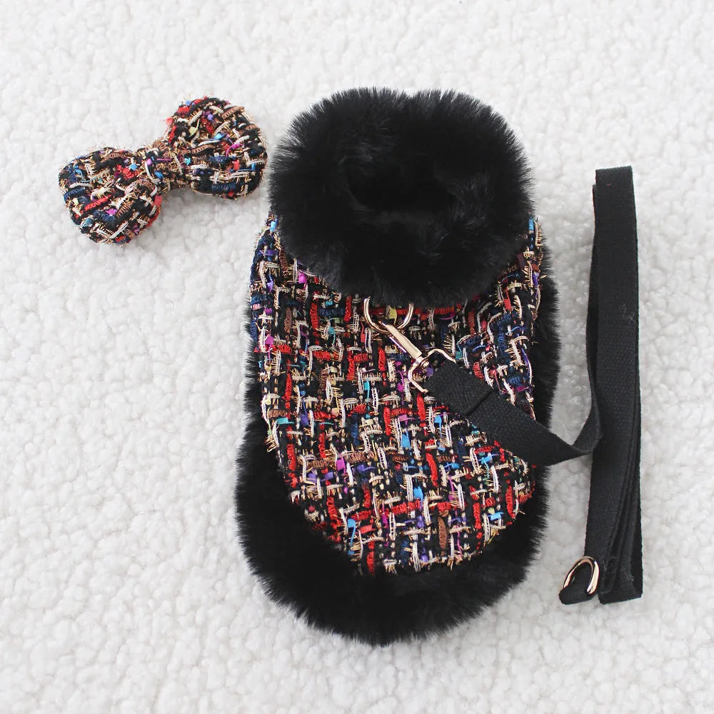 Small dog wearing fabric cape with matching beret, attached to chest strap and lead