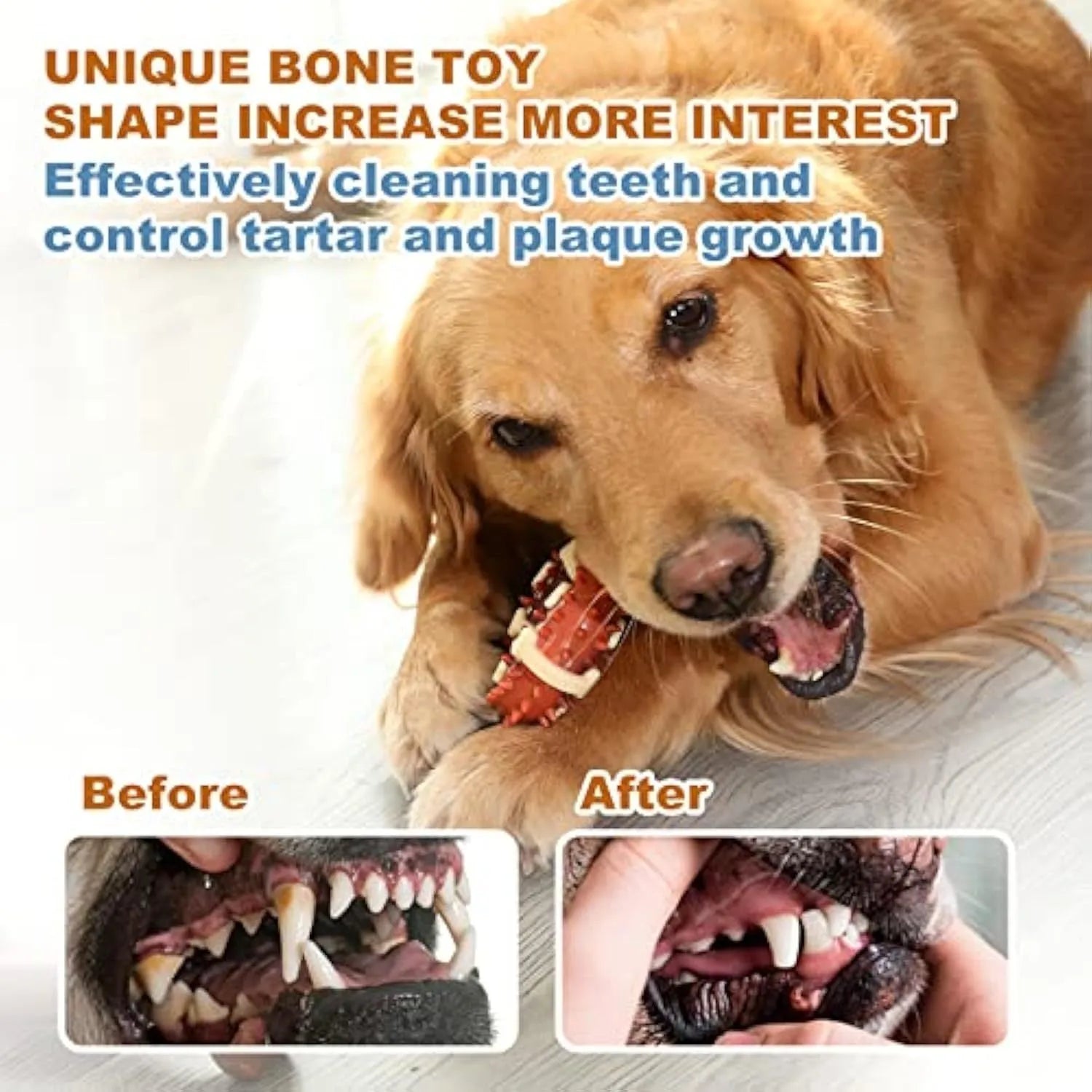 Bone-shaped natural rubber dog chew toy for teeth cleaning in two sizes