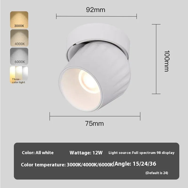 Surface mounted adjustable angle LED ceiling spotlight with black finish and aluminium body for home living room