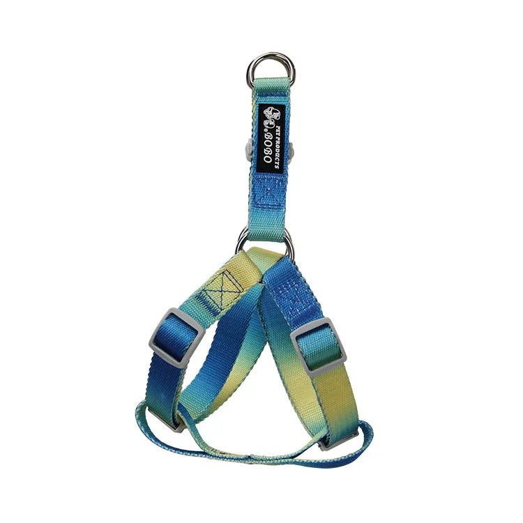 Nylon dog leash set showing gradient colour patterns in pink and yellow combination with adjustable sizing