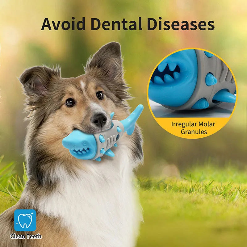 Blue leaky dog toy with shark-tooth texture for teething and dental cleaning