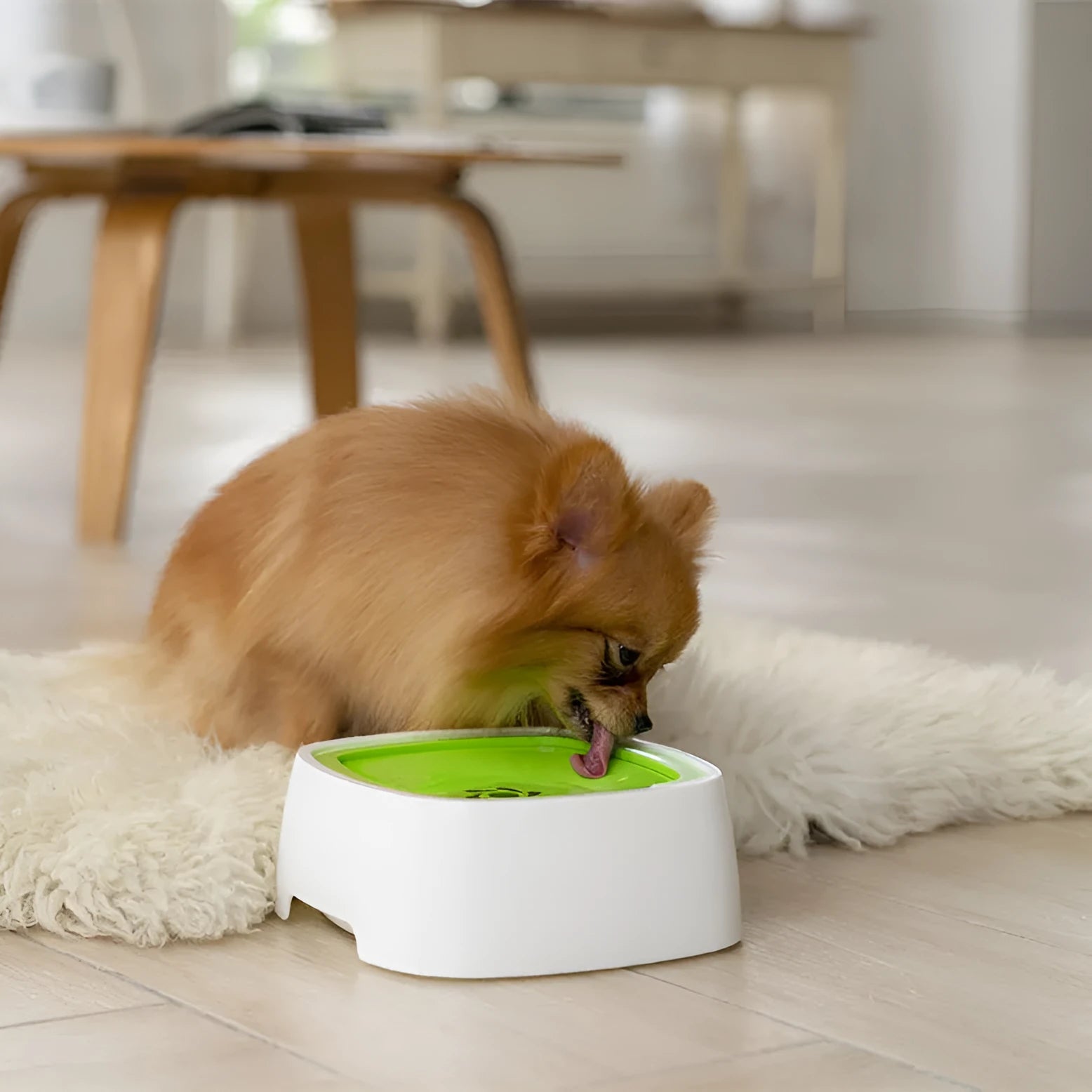 Non slip chin dog floating drinking bowl plastic 19x18x8cm automatic feeding bowl sky blue
