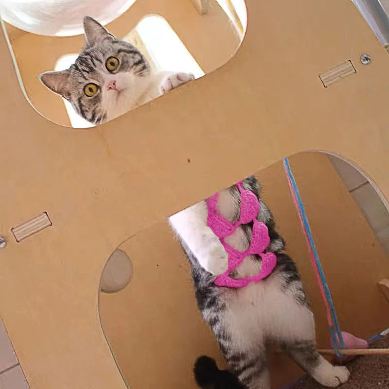 Cat wearing sweet style bra and bikini costume in choice of five colours for Halloween or festival dress-up