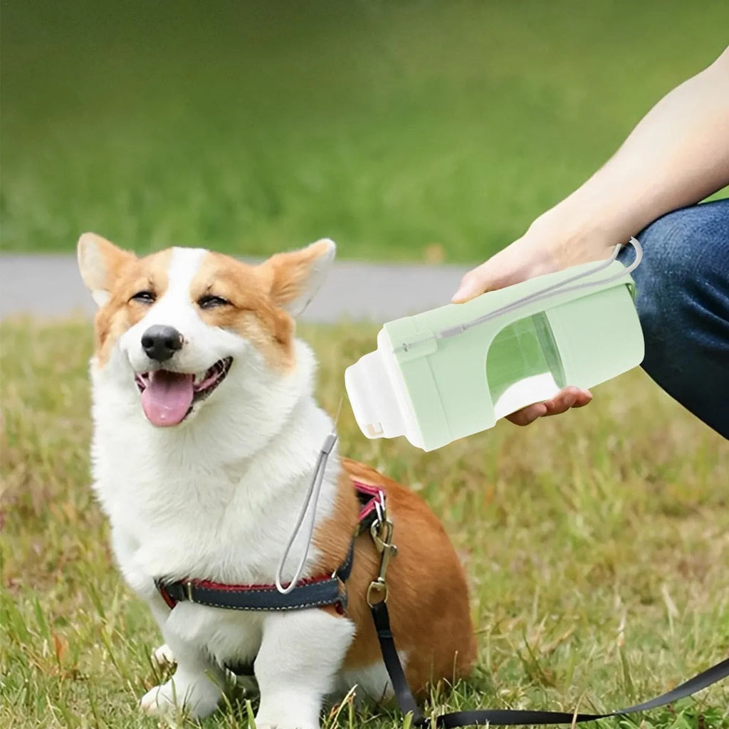 2-in-1 travel dog water bottle with feeder showing grey colour option with lanyard attachment