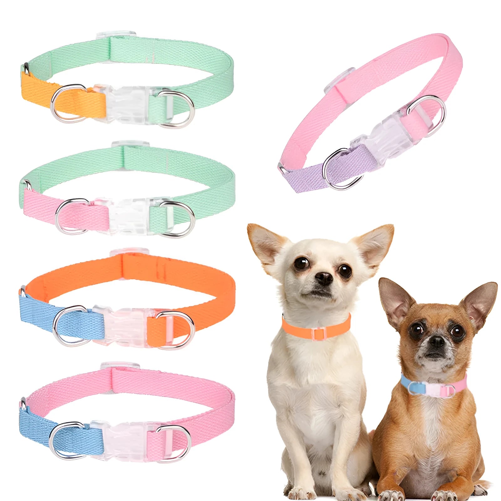 Polyester ribbon dog collar set with hand holding rope and chest strap in a two-tone colour.