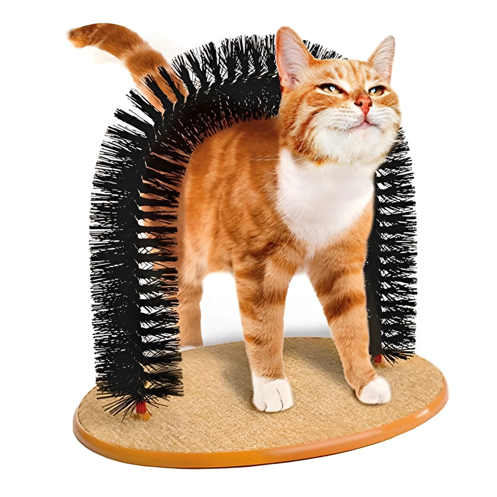 White plastic cat grooming arch with built-in brush bristles for scratching and rubbing