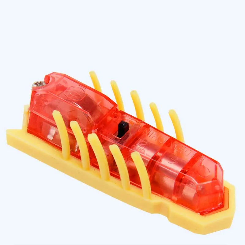 Mini electric ladybird beetle cat toy crawling on floor with red and black shell.