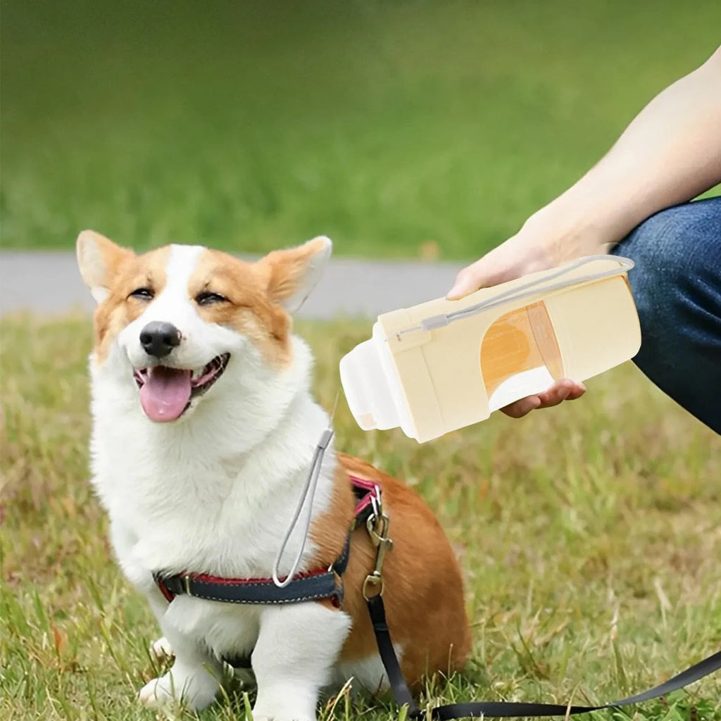 2-in-1 travel dog water bottle with feeder showing grey colour option with lanyard attachment