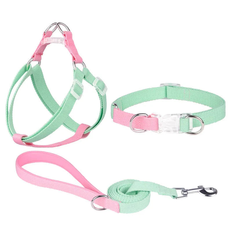 Polyester ribbon dog collar set with hand holding rope and chest strap in a two-tone colour.