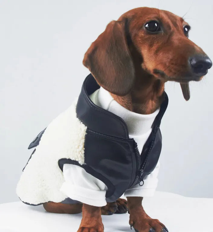 Small leather pocket pet coat for cats and dogs in lambswool and lamb fleece, black colour, side view showing pocket