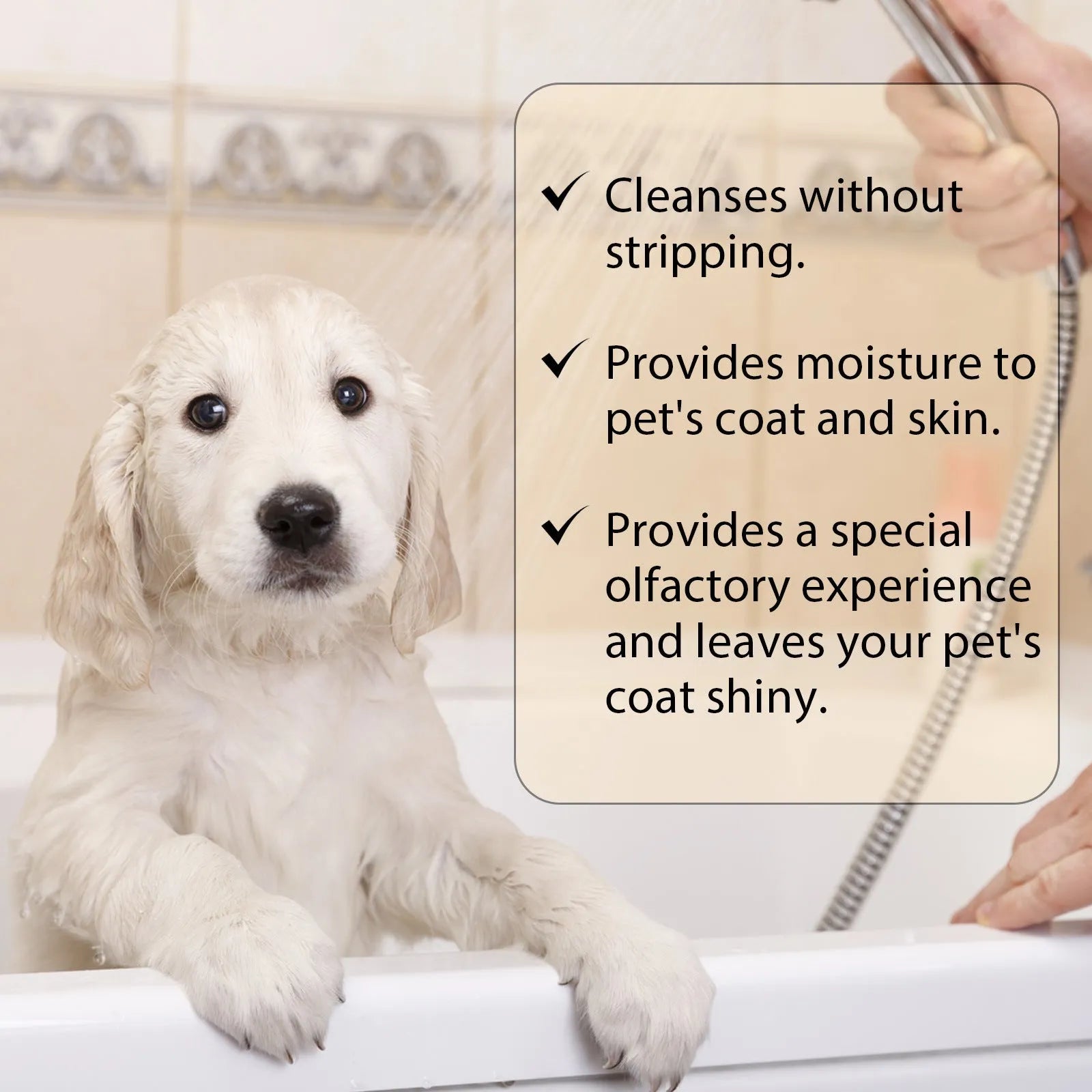 Bottle of mild pet shampoo for dogs for softening and detangling coat, shown in 100ml and 300ml size options.